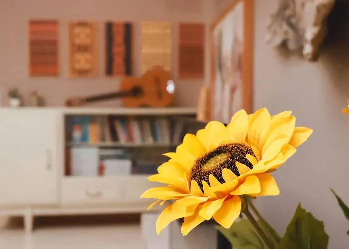 Large Near The Seaside Boulevard Lungomare Apartament